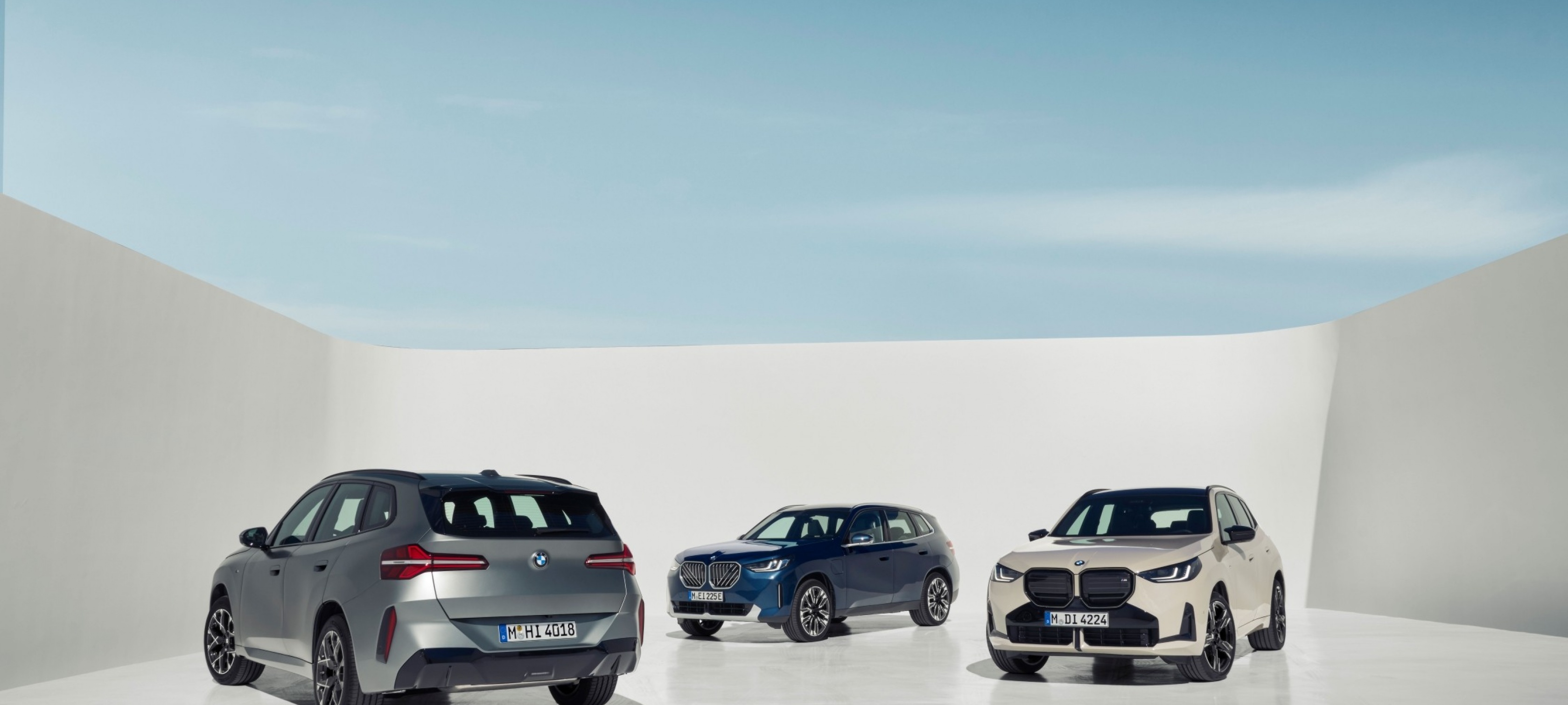 RENTING BMW